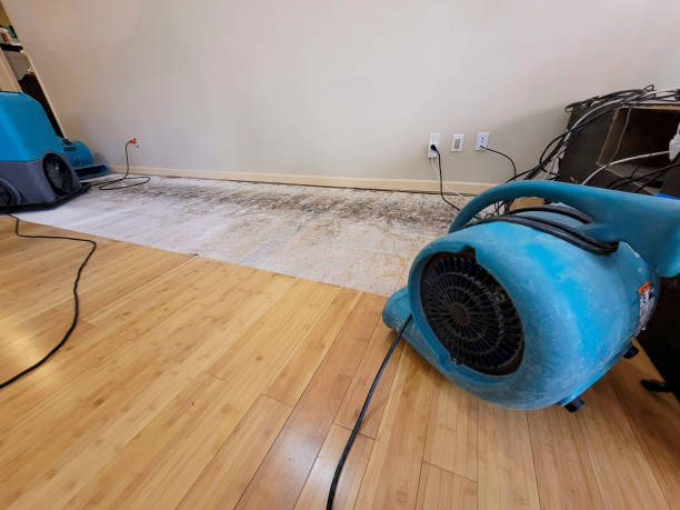 Professional Sewage Cleanup technician working in Shelby, MI
